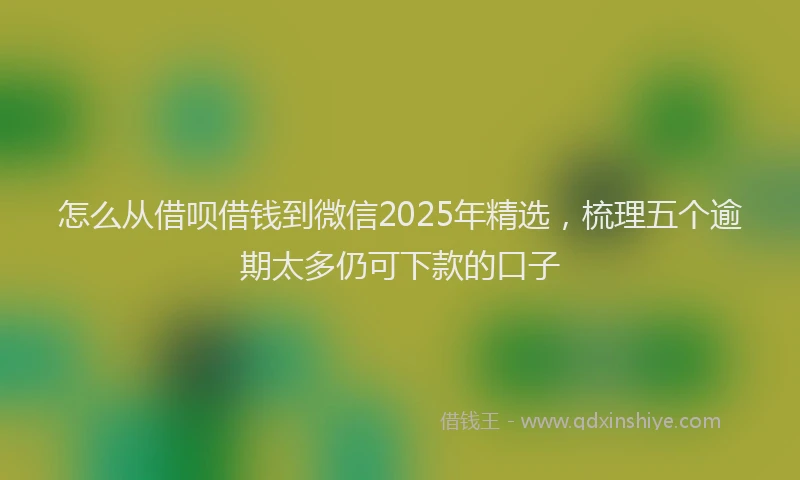 怎么从借呗借钱到微信2025年精选，梳理五个逾期太多仍可下款的口子