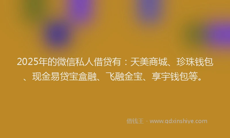 2025年的微信私人借贷有：天美商城、珍珠钱包、现金易贷宝盒融、飞融金宝、享宇钱包等。
