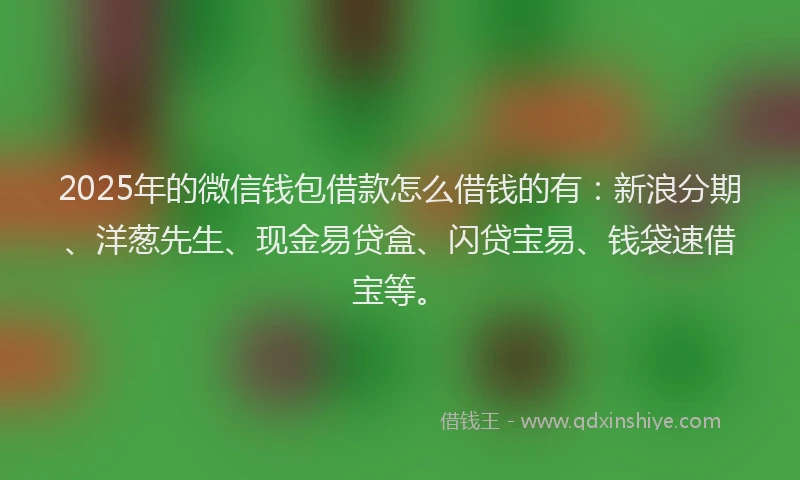 2025年的微信钱包借款怎么借钱的有：新浪分期、洋葱先生、现金易贷盒、闪贷宝易、钱袋速借宝等。