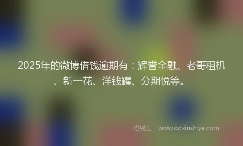 2025年的微博借钱逾期有：辉誉金融、老哥租机、新一花、洋钱罐、分期悦等。