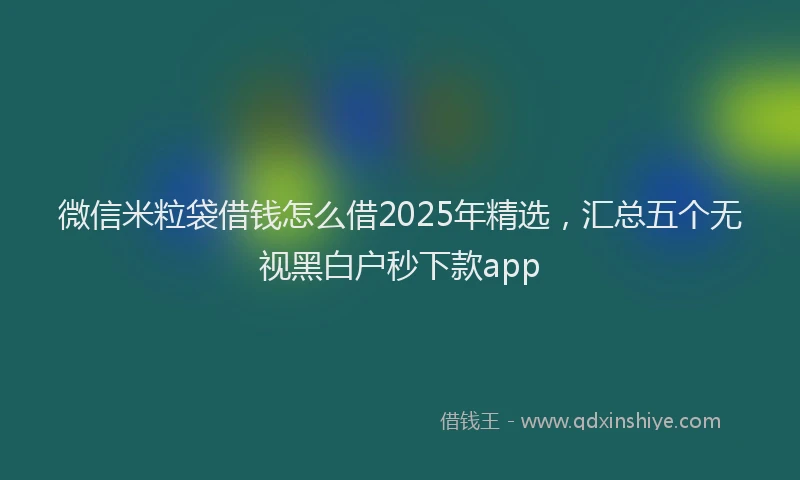 微信米粒袋借钱怎么借2025年精选，汇总五个无视黑白户秒下款app
