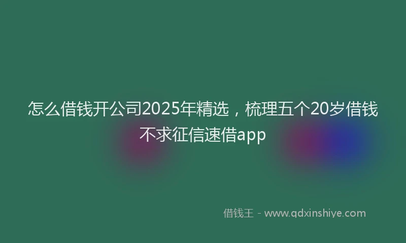 怎么借钱开公司2025年精选，梳理五个20岁借钱不求征信速借app