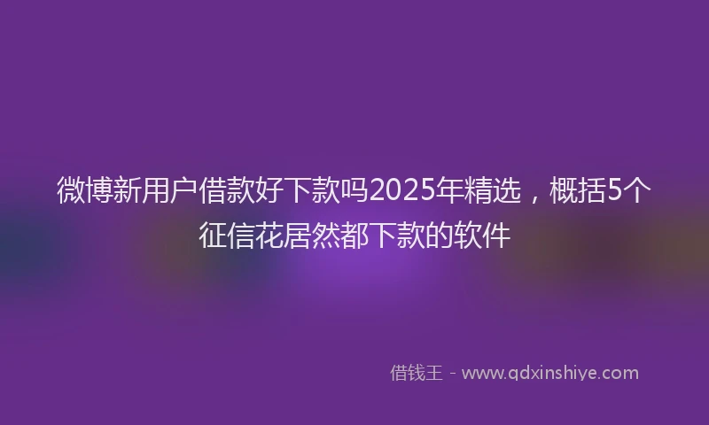 微博新用户借款好下款吗2025年精选，概括5个征信花居然都下款的软件
