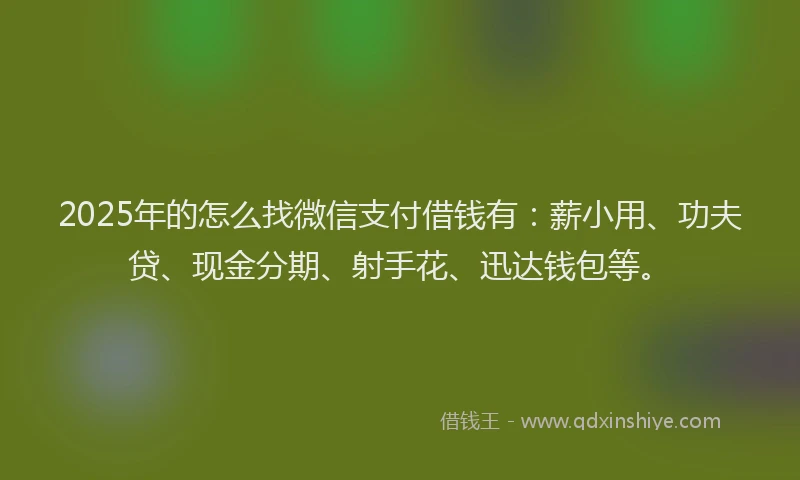 2025年的怎么找微信支付借钱有：薪小用、功夫贷、现金分期、射手花、迅达钱包等。