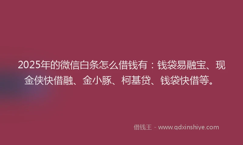 2025年的微信白条怎么借钱有：钱袋易融宝、现金侠快借融、金小豚、柯基贷、钱袋快借等。