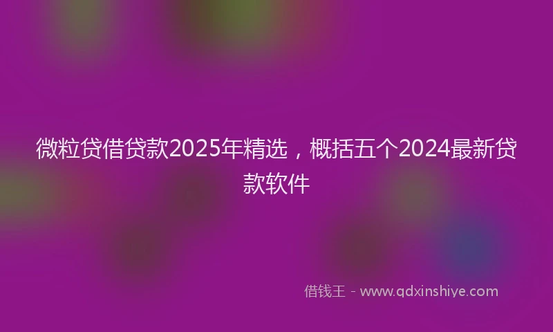 微粒贷借贷款2025年精选，概括五个2024最新贷款软件