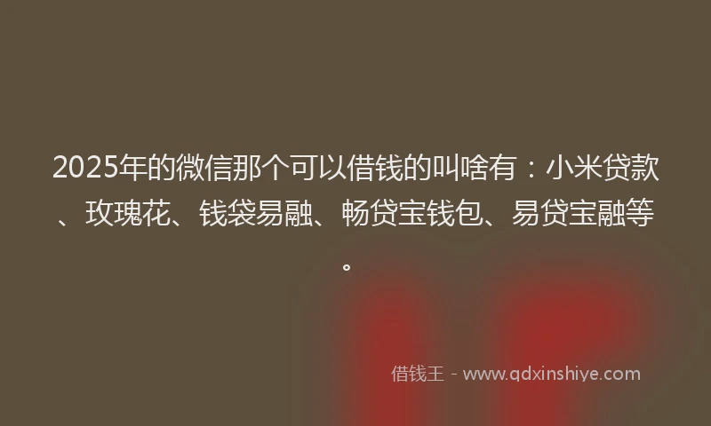2025年的微信那个可以借钱的叫啥有：小米贷款、玫瑰花、钱袋易融、畅贷宝钱包、易贷宝融等。