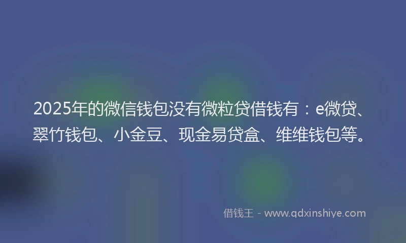 2025年的微信钱包没有微粒贷借钱有：e微贷、翠竹钱包、小金豆、现金易贷盒、维维钱包等。