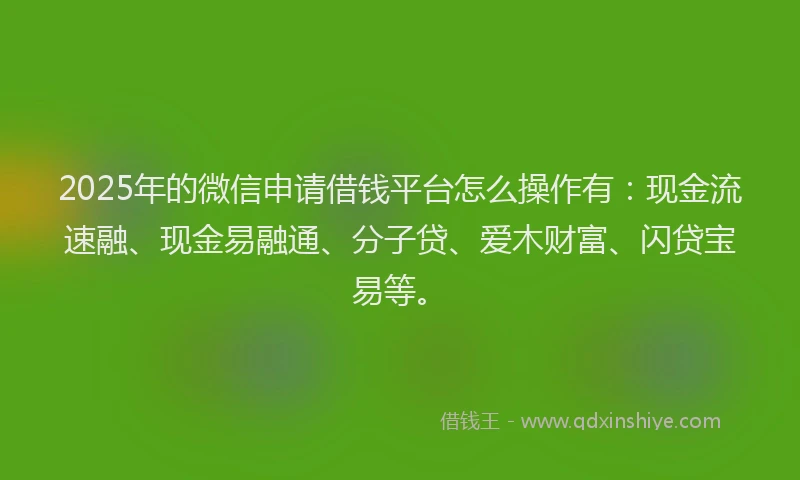 2025年的微信申请借钱平台怎么操作有：现金流速融、现金易融通、分子贷、爱木财富、闪贷宝易等。