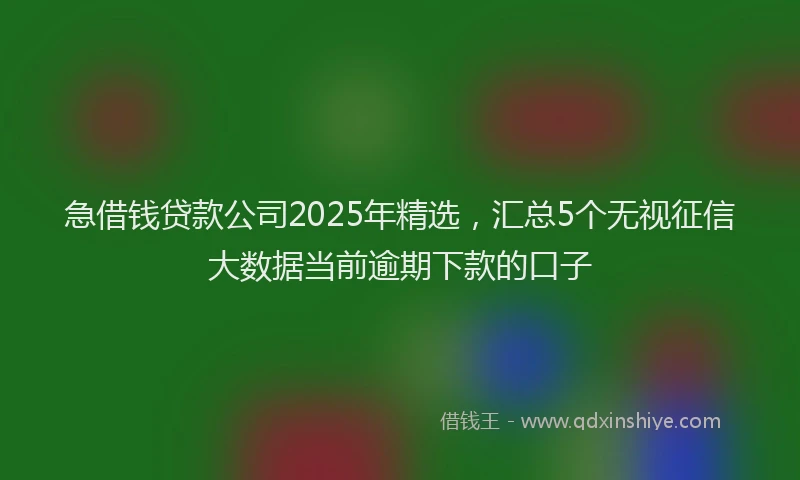 急借钱贷款公司2025年精选，汇总5个无视征信大数据当前逾期下款的口子