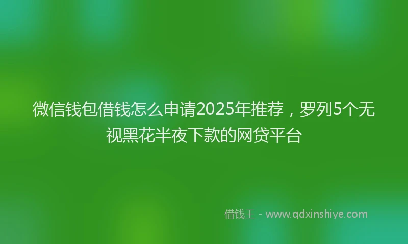 微信钱包借钱怎么申请2025年推荐，罗列5个无视黑花半夜下款的网贷平台