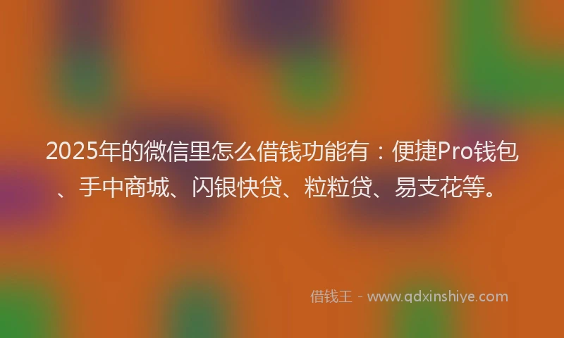 2025年的微信里怎么借钱功能有：便捷Pro钱包、手中商城、闪银快贷、粒粒贷、易支花等。