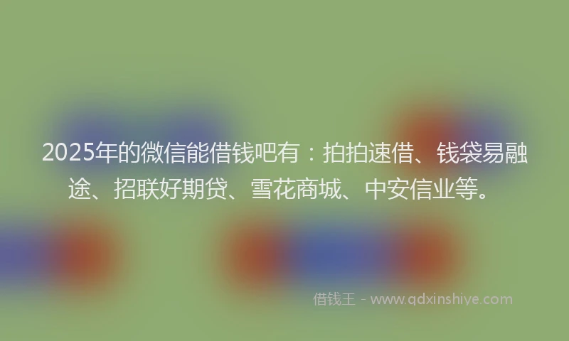 2025年的微信能借钱吧有：拍拍速借、钱袋易融途、招联好期贷、雪花商城、中安信业等。