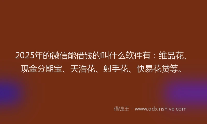 2025年的微信能借钱的叫什么软件有：维品花、现金分期宝、天浩花、射手花、快易花贷等。