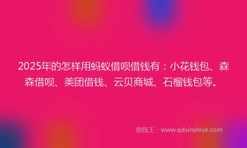 2025年的怎样用蚂蚁借呗借钱有：小花钱包、森森借呗、美团借钱、云贝商城、石榴钱包等。