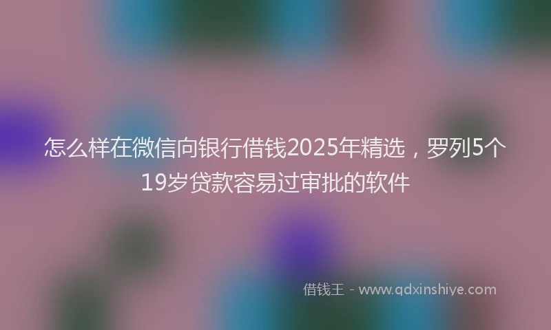 怎么样在微信向银行借钱2025年精选，罗列5个19岁贷款容易过审批的软件