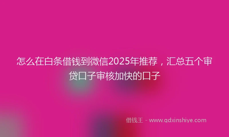 怎么在白条借钱到微信2025年推荐，汇总五个审贷口子审核加快的口子
