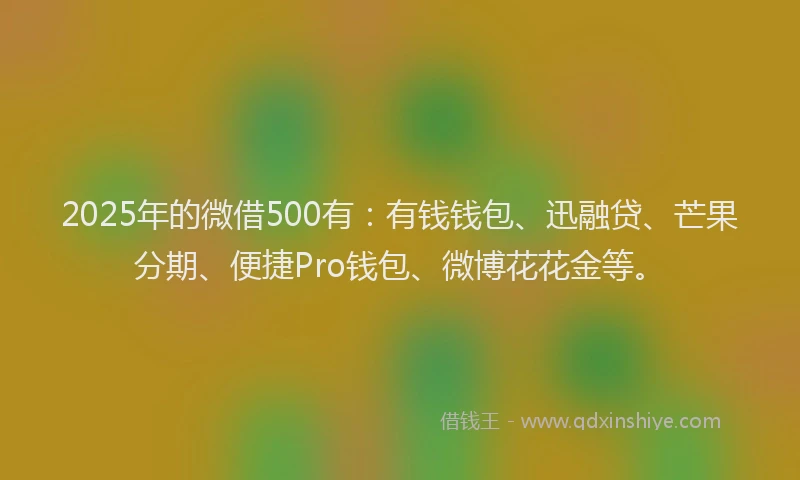 2025年的微借500有：有钱钱包、迅融贷、芒果分期、便捷Pro钱包、微博花花金等。