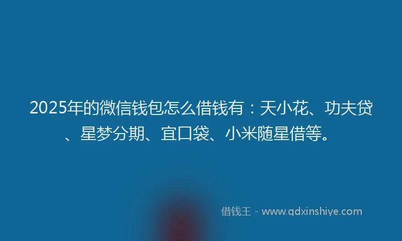 2025年的微信钱包怎么借钱有：天小花、功夫贷、星梦分期、宜口袋、小米随星借等。