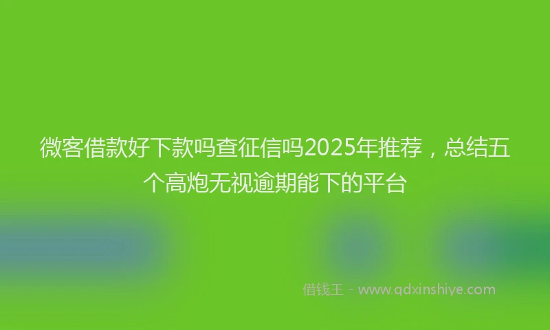 微客借款好下款吗查征信吗2025年推荐，总结五个高炮无视逾期能下的平台