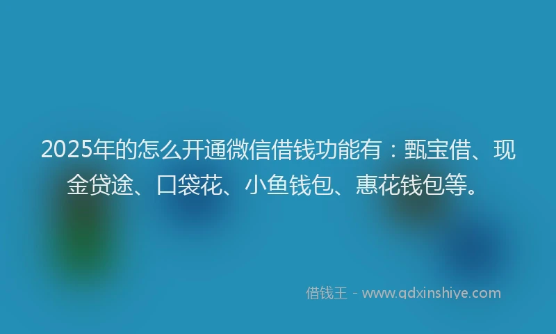 2025年的怎么开通微信借钱功能有：甄宝借、现金贷途、口袋花、小鱼钱包、惠花钱包等。