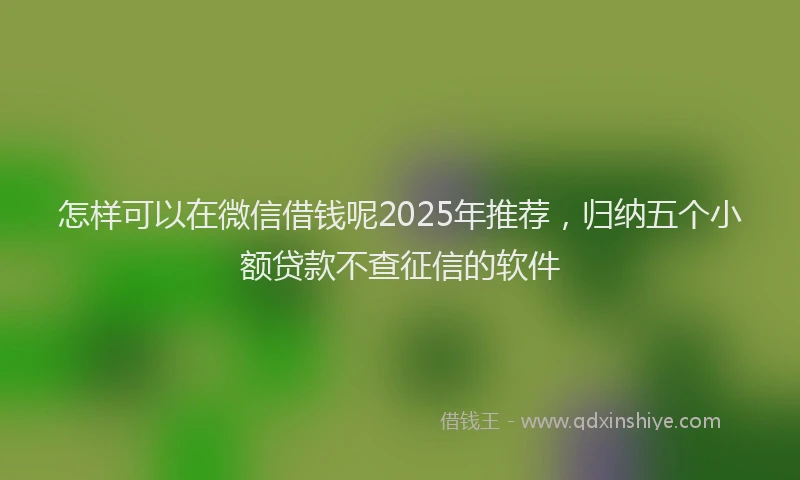 怎样可以在微信借钱呢2025年推荐，归纳五个小额贷款不查征信的软件