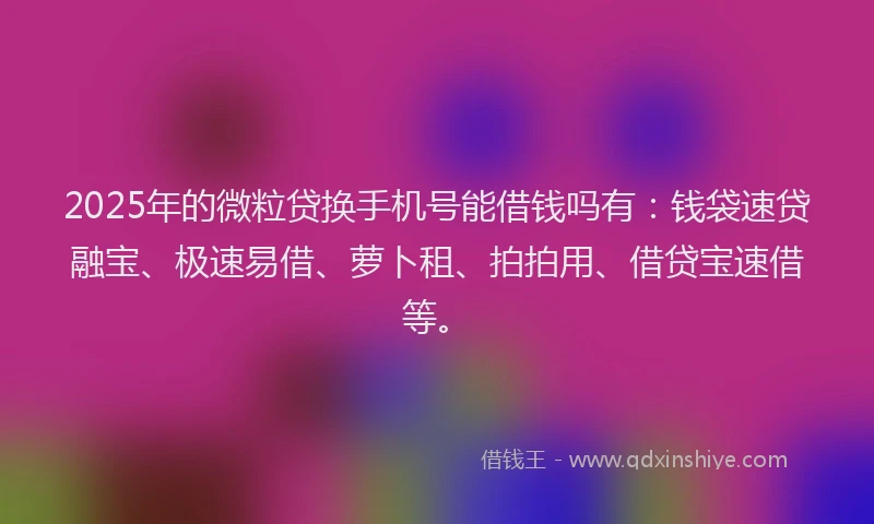 2025年的微粒贷换手机号能借钱吗有：钱袋速贷融宝、极速易借、萝卜租、拍拍用、借贷宝速借等。