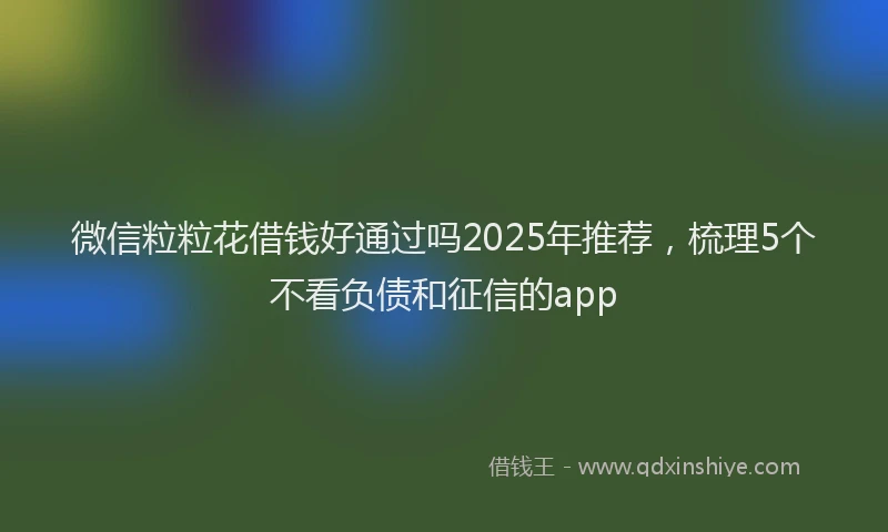 微信粒粒花借钱好通过吗2025年推荐，梳理5个不看负债和征信的app