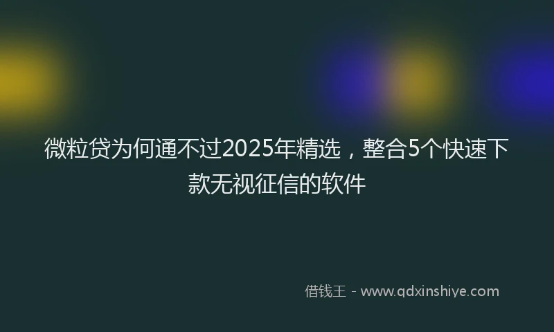 微粒贷为何通不过2025年精选，整合5个快速下款无视征信的软件