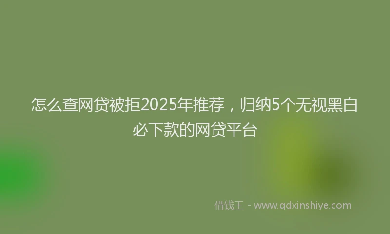 怎么查网贷被拒2025年推荐，归纳5个无视黑白必下款的网贷平台