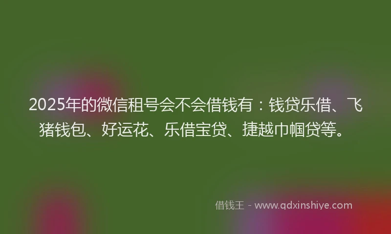 2025年的微信租号会不会借钱有：钱贷乐借、飞猪钱包、好运花、乐借宝贷、捷越巾帼贷等。