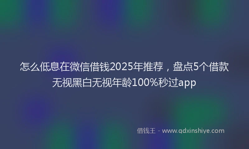 怎么低息在微信借钱2025年推荐，盘点5个借款无视黑白无视年龄100%秒过app