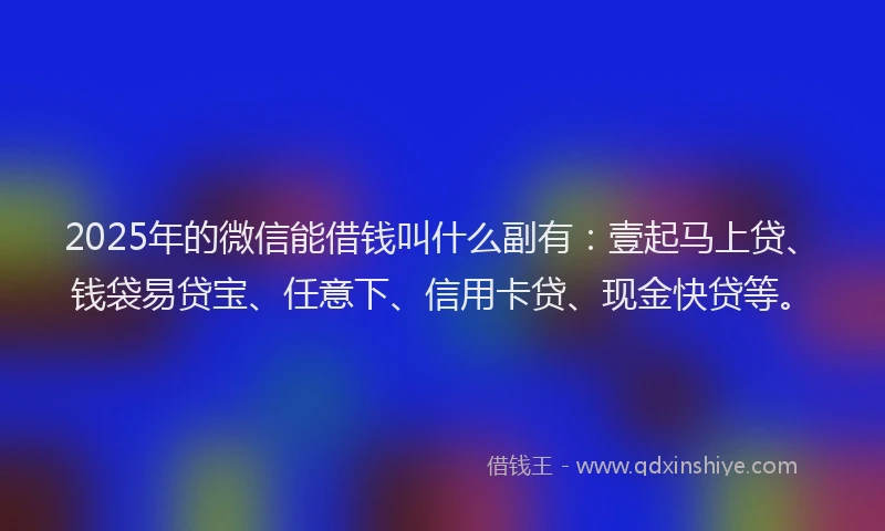 2025年的微信能借钱叫什么副有：壹起马上贷、钱袋易贷宝、任意下、信用卡贷、现金快贷等。
