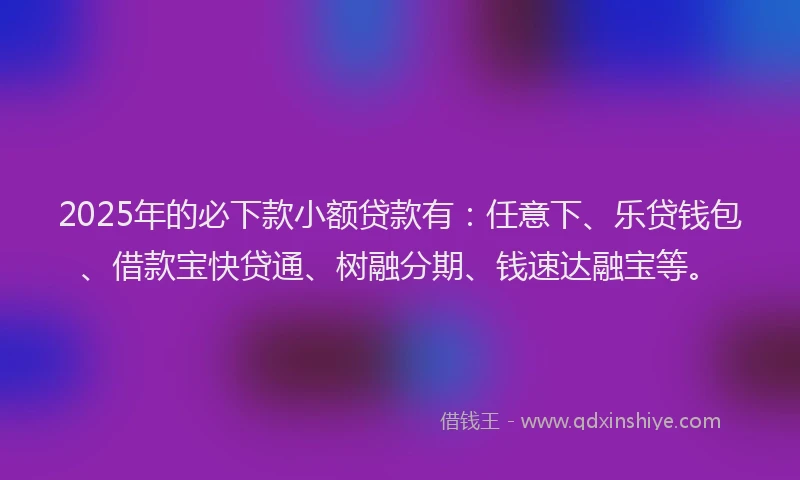 2025年的必下款小额贷款有：任意下、乐贷钱包、借款宝快贷通、树融分期、钱速达融宝等。