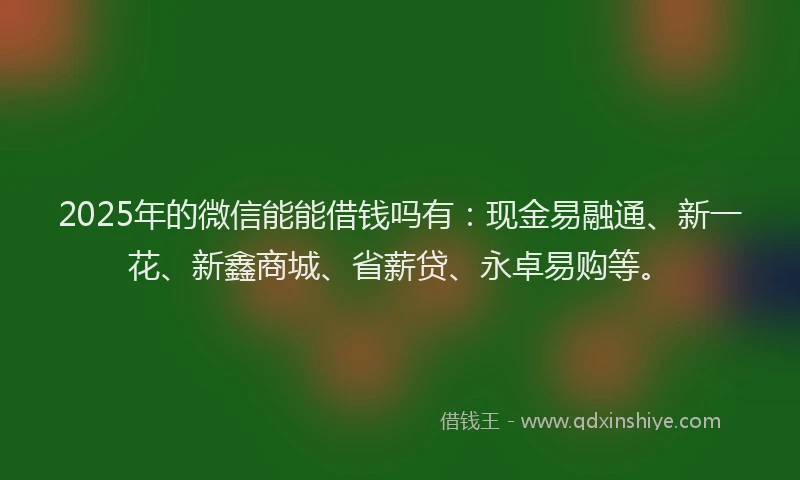 2025年的微信能能借钱吗有：现金易融通、新一花、新鑫商城、省薪贷、永卓易购等。