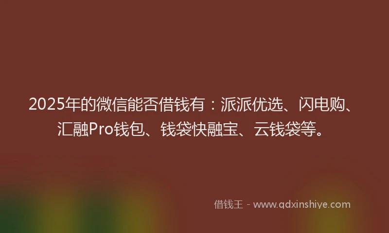 2025年的微信能否借钱有：派派优选、闪电购、汇融Pro钱包、钱袋快融宝、云钱袋等。
