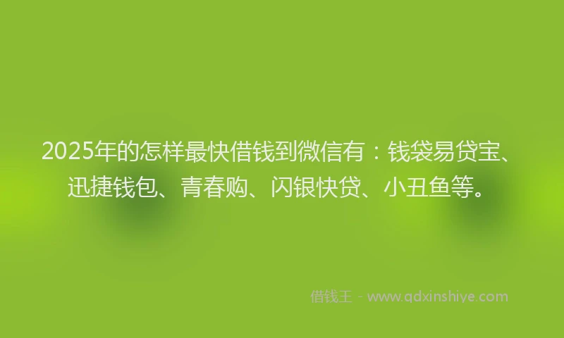 2025年的怎样最快借钱到微信有：钱袋易贷宝、迅捷钱包、青春购、闪银快贷、小丑鱼等。