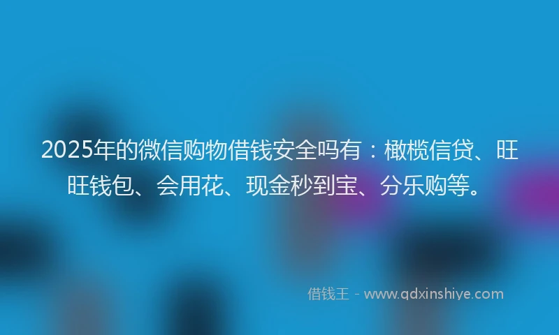 2025年的微信购物借钱安全吗有：橄榄信贷、旺旺钱包、会用花、现金秒到宝、分乐购等。