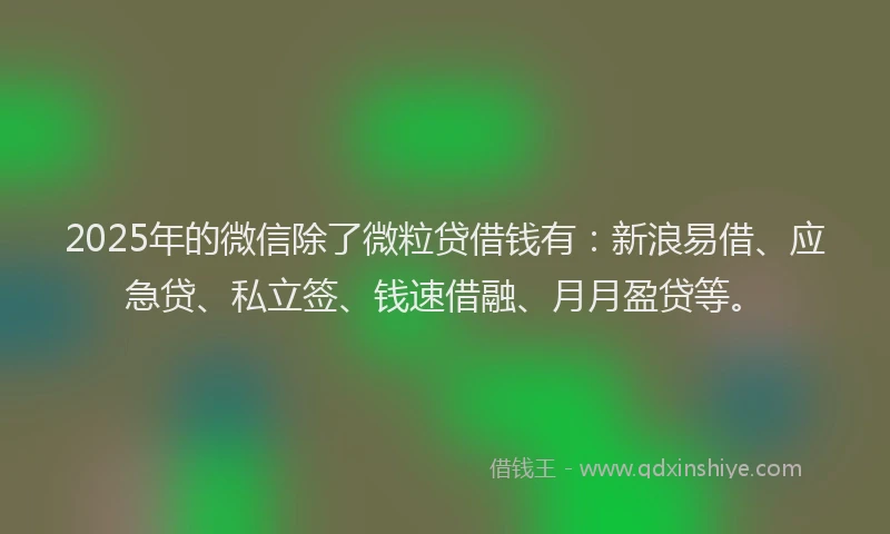 2025年的微信除了微粒贷借钱有：新浪易借、应急贷、私立签、钱速借融、月月盈贷等。