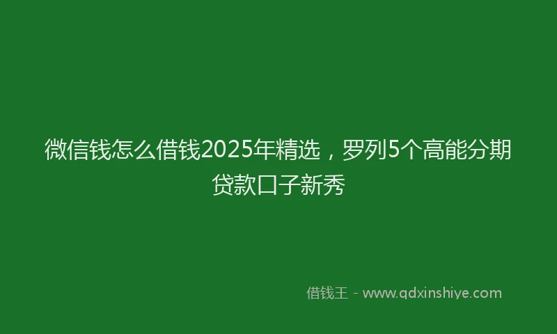 微信钱怎么借钱2025年精选，罗列5个高能分期贷款口子新秀