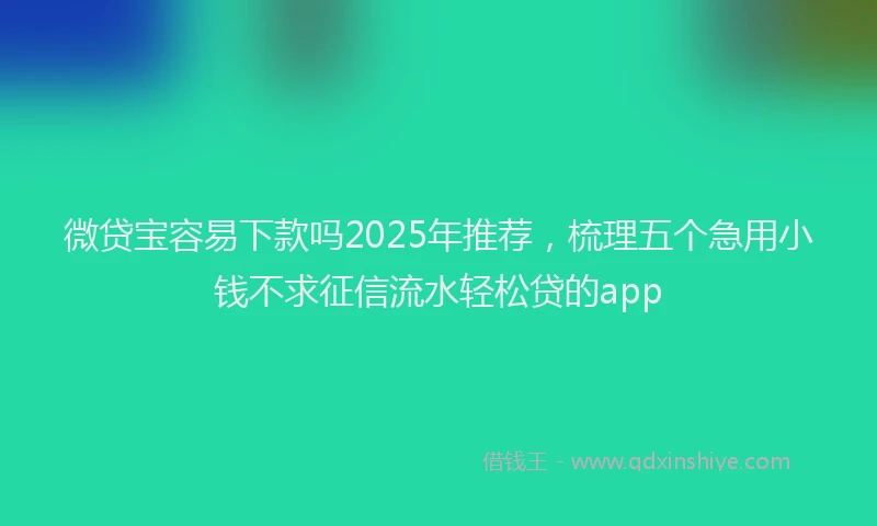 微贷宝容易下款吗2025年推荐，梳理五个急用小钱不求征信流水轻松贷的app