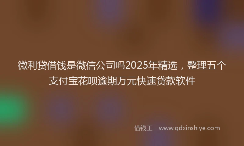 微利贷借钱是微信公司吗2025年精选，整理五个支付宝花呗逾期万元快速贷款软件