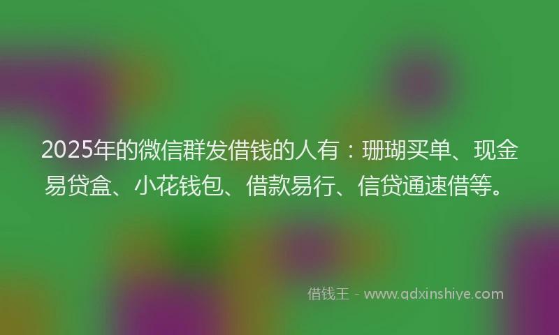 2025年的微信群发借钱的人有：珊瑚买单、现金易贷盒、小花钱包、借款易行、信贷通速借等。
