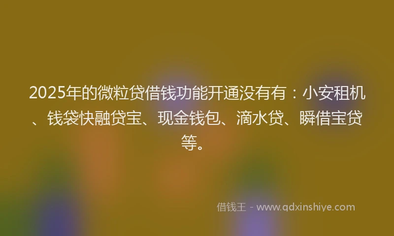 2025年的微粒贷借钱功能开通没有有：小安租机、钱袋快融贷宝、现金钱包、滴水贷、瞬借宝贷等。