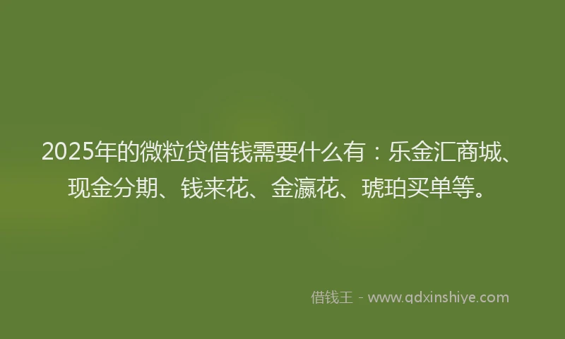 2025年的微粒贷借钱需要什么有：乐金汇商城、现金分期、钱来花、金瀛花、琥珀买单等。