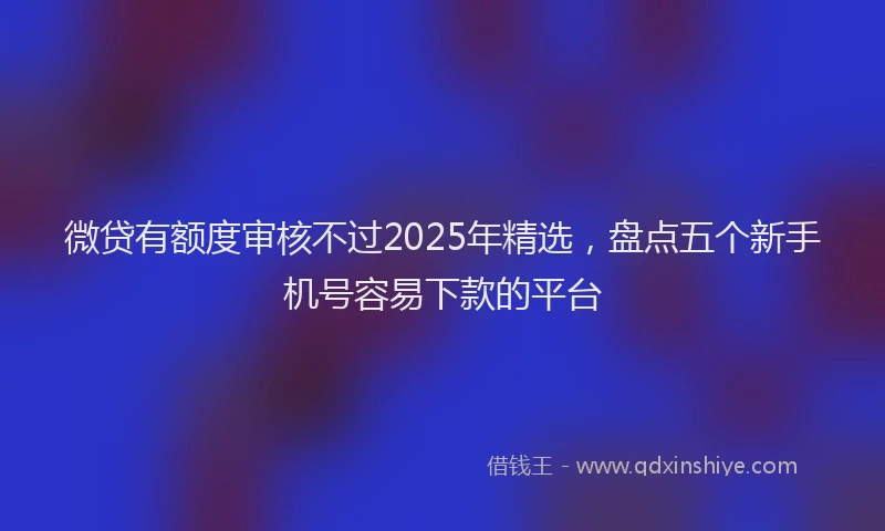 微贷有额度审核不过2025年精选，盘点五个新手机号容易下款的平台