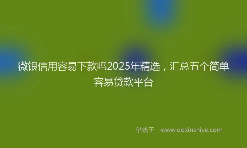 微银信用容易下款吗2025年精选，汇总五个简单容易贷款平台