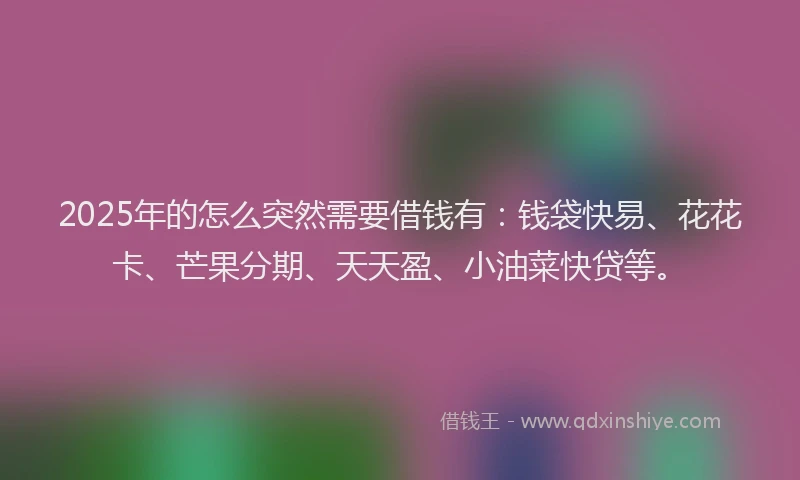 2025年的怎么突然需要借钱有：钱袋快易、花花卡、芒果分期、天天盈、小油菜快贷等。
