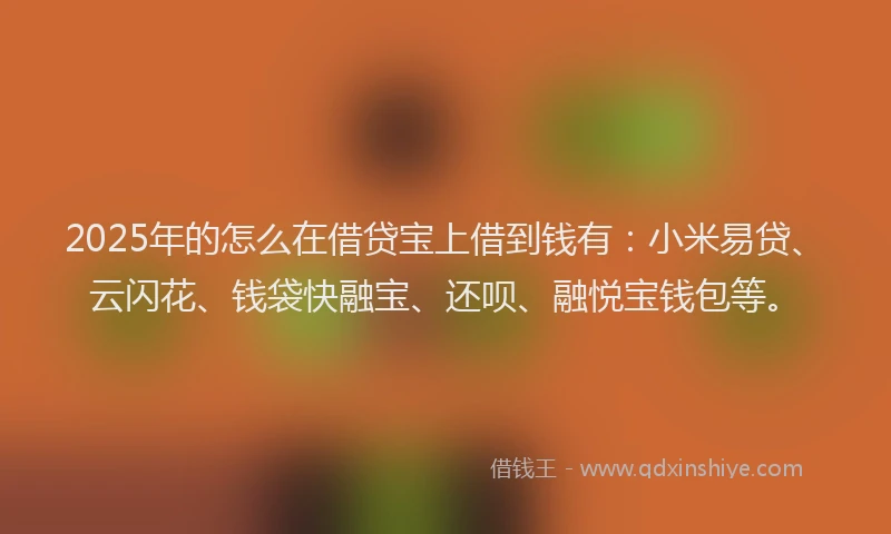 2025年的怎么在借贷宝上借到钱有：小米易贷、云闪花、钱袋快融宝、还呗、融悦宝钱包等。