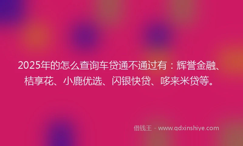 2025年的怎么查询车贷通不通过有：辉誉金融、桔享花、小鹿优选、闪银快贷、哆来米贷等。